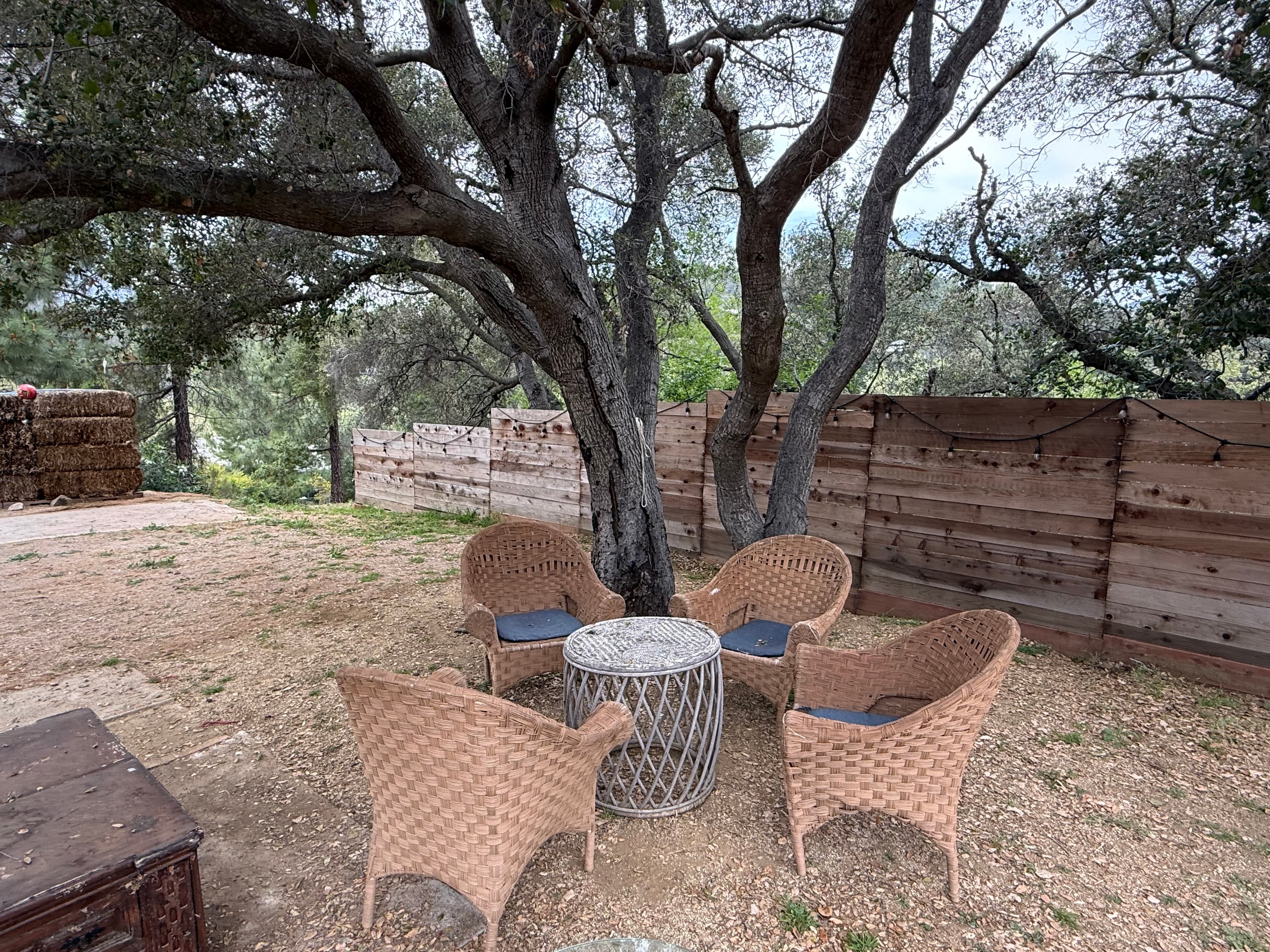 Outdoor circle seating under a tree during the day.